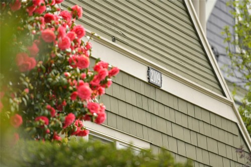 4-2109 Chambers St, Victoria, BC - Outdoor
