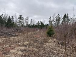 Lot Louis Road St. Marys Road, PE C0A 1R0