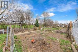 The property includes an extensive yard with garden beds and mature trees - 