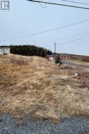 48 Old Settlement Hill Freshwater, NL A0B 1W0