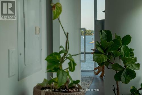1014 - 29 Queens Quay E, Toronto, ON - Indoor Photo Showing Other Room