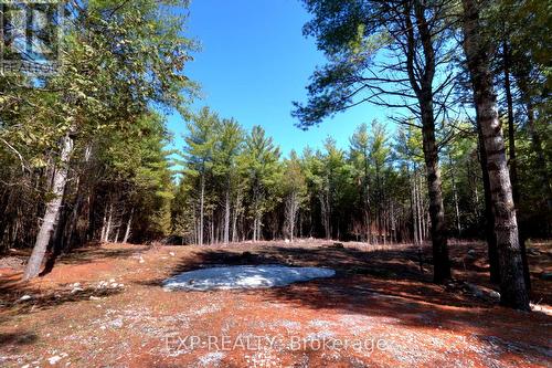 593 County 40 Road, Douro-Dummer, ON 