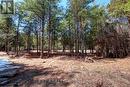 593 County 40 Road, Douro-Dummer, ON 