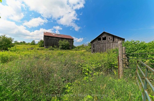 836206 4Th Line, Mulmur, ON - Outdoor