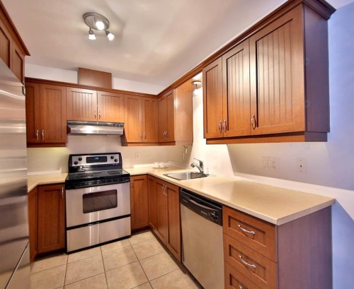 Cuisine - 205-87 Av. De Dompierre, Candiac, QC - Indoor Photo Showing Kitchen