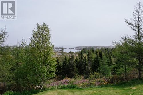 26 Main Street, New Wes Valley, NL - Outdoor With View