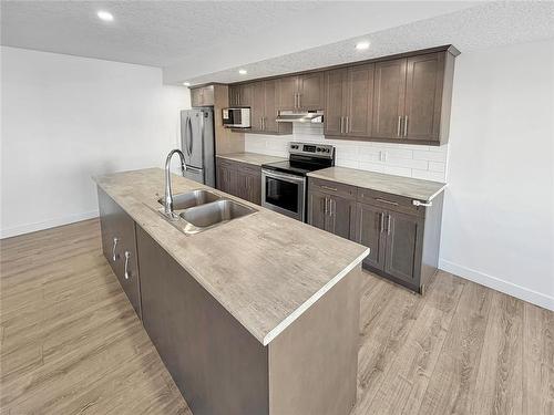 57 Cobalt Crescent, Brandon, MB - Indoor Photo Showing Kitchen With Double Sink With Upgraded Kitchen