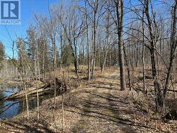 185 JULIAN LAKE ROAD North Kawartha, ON K0L 3E0