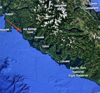 7 Hot Springs Cove Tofino, BC V0R 2Z0
