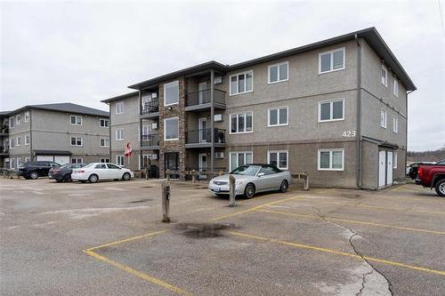 2-423 Main St, St Adolphe, MB 
