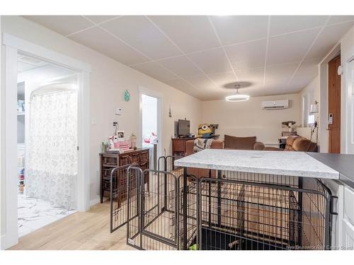 371 Royal Rd, Fredericton, NB 