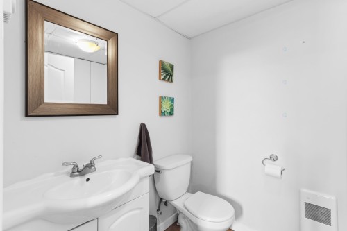 Salle d'eau - 2 Rue Des Jacinthes, Salaberry-De-Valleyfield, QC - Indoor Photo Showing Bathroom