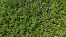 Photo aérienne - 7E Rang E., Saint-Joseph-De-Kamouraska, QC 