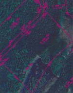 7e Rang E.  Saint-Joseph-De-Kamouraska, QC G0L 3P0