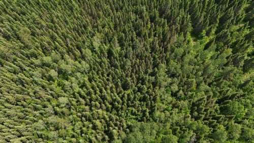 Aerial View - 7E Rang E., Saint-Joseph-De-Kamouraska, QC 