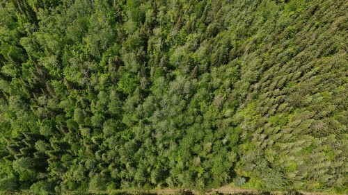 Aerial View - 7E Rang E., Saint-Joseph-De-Kamouraska, QC 