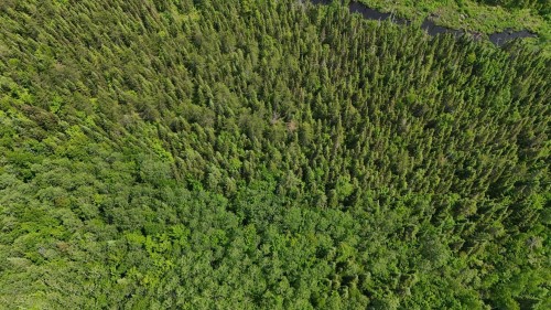 Aerial View - 7E Rang E., Saint-Joseph-De-Kamouraska, QC 