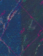 7e Rang E.  Saint-Joseph-De-Kamouraska, QC G0L 3P0