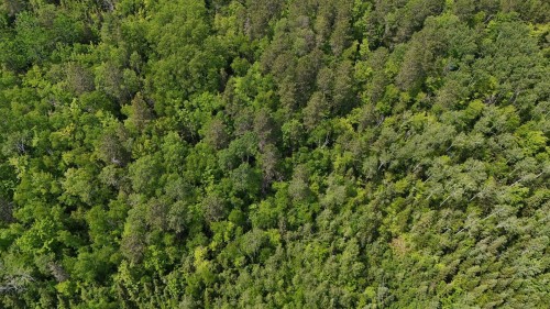 Aerial View - 7E Rang E., Saint-Joseph-De-Kamouraska, QC 