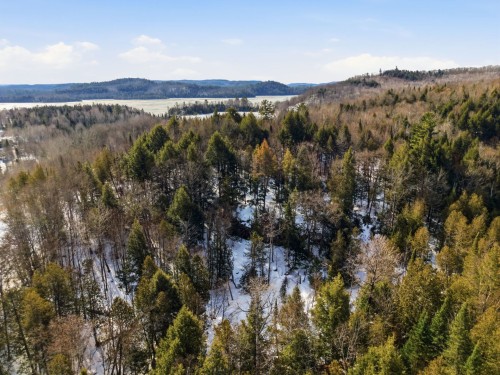Vue d'ensemble - 3 Ch. Du Lac-Du-Brochet, Bowman, QC 