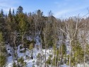 Vue d'ensemble - 3 Ch. Du Lac-Du-Brochet, Bowman, QC 