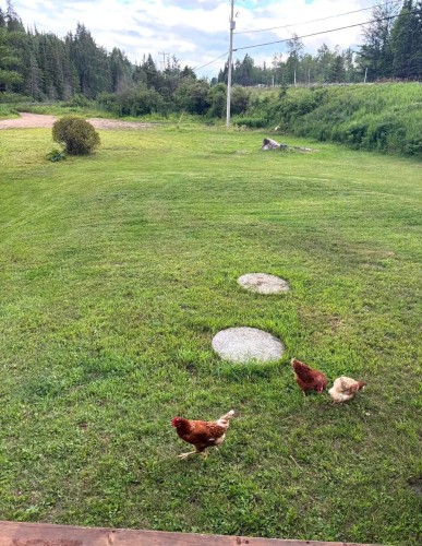 Extérieur - 4720 Ch. Brassard, Saint-Zénon, QC - Outdoor With View