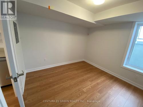 Lower - 29 Danielle Moore Circle, Toronto, ON - Indoor Photo Showing Other Room