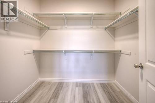 Walk-in closet with multi-level shelving, clothing rods, light-toned walls, and wood-finish flooring - 48 Main Street E, Innerkip, ON - Indoor With Storage