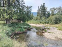 Langille Road  Edgewood, BC V0G 1J0