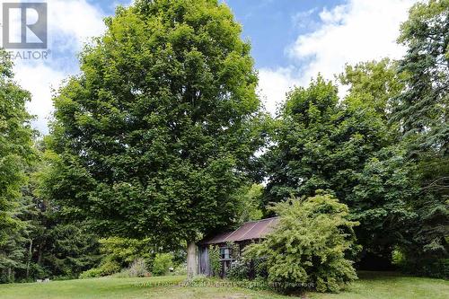 4242 Cedar Valley Road, Clarington, ON - Outdoor