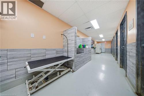 11 Burtch Road, Mount Pleasant, ON 