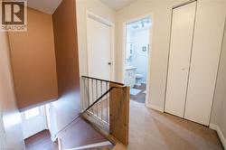 Carpeted hallway with painted walls and white trim - 