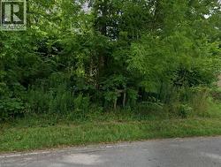 37 BRADLEY Street St. Catharines, ON L7T 1R5