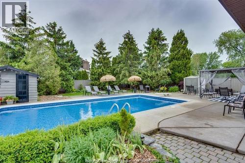 145 Centennial Drive, Tecumseh, ON - Outdoor With In Ground Pool With Backyard