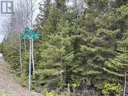 PT LT35 CON 3 WBR PT 77 CONCESSION Northern Bruce Peninsula, ON N0H 1W0