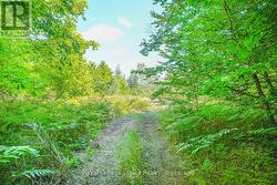 LOT 3 SIXTH STREET South Bruce Peninsula, ON N0H 2G0