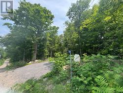 SEVERED B - 554 PIGDEN ROAD Madoc, ON K0K 2K0