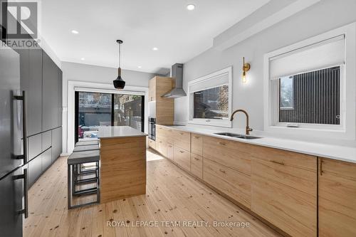 142 Florence Street, Ottawa, ON - Indoor Photo Showing Kitchen With Double Sink With Upgraded Kitchen