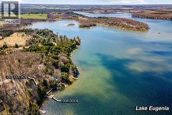 Aerial perspective showcasing Lake Eugenia shoreline - 