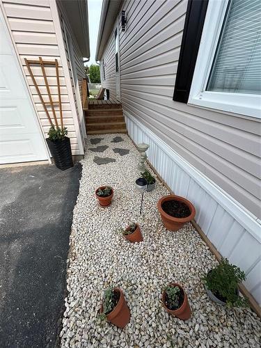 37 Bluebird Crescent, Brandon, MB - Outdoor With Exterior
