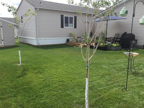 37 Bluebird Crescent, Brandon, MB - Outdoor