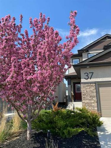 37 Mccrindle Bay, Winnipeg, MB 