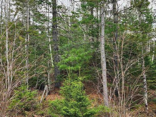 Lot Highway 340, Pleasant Valley, NS 