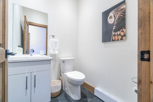 Powder room - 1254 Allée Des Chevaux-Blancs, Mont-Tremblant, QC - Indoor Photo Showing Bathroom
