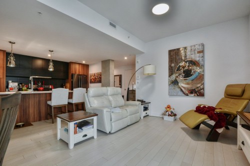 Overall view - 206-150 Ch. De La Grande-Côte, Boisbriand, QC - Indoor Photo Showing Living Room