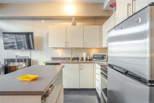 203-1121 Fort St, Victoria, BC - Indoor Photo Showing Kitchen With Stainless Steel Kitchen