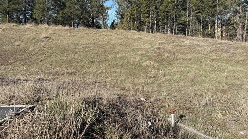 Lot 1 Cooper Road, Windermere, BC - Outdoor