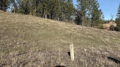 Lot 1 Cooper Road, Windermere, BC - Outdoor With View