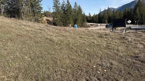 Lot 1 Cooper Road, Windermere, BC - Outdoor With View