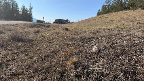 Lot 1 Cooper Road, Windermere, BC - Outdoor With View